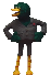 duck